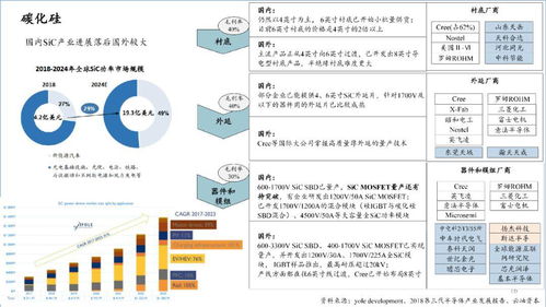 2020中國半導體產業投資全景圖 機遇、策略與企業服務解析