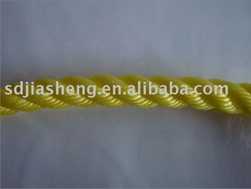 聚乙烯繩、聚丙烯繩及金屬絲繩制品 山東泰佳塑料制品廠的產品與制造概述